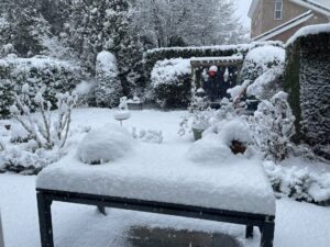 Maandag 5 januari geen bridge!!